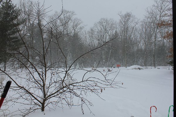 New Camera Dec2010 375